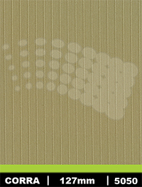 vzor