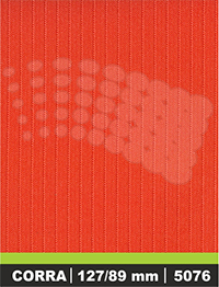 vzor