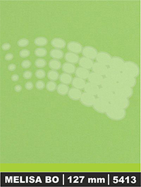 vzor