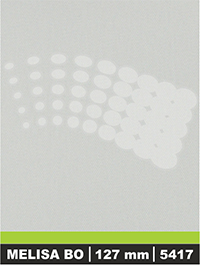 vzor