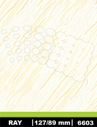 vzor